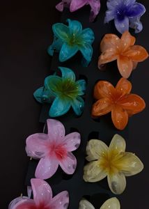Hair Clip