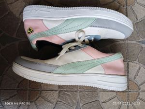 Sneaker Shoe