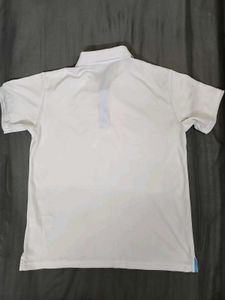 Adidas White Polo T shirt🇻🇳