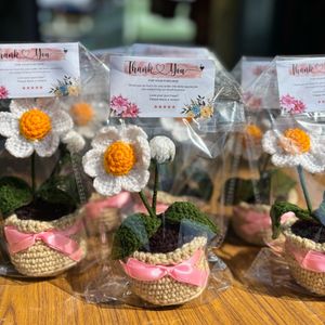 Crochet Daisy in Pot