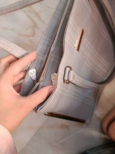 Handbag With Minor Chirpings