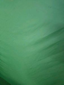 Green Screen [ Rarely used ]