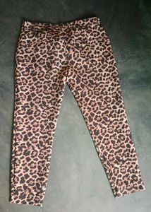 Zara Leopard Print  Pants