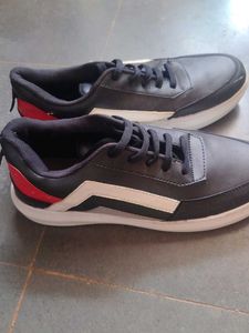 Men Sneakers