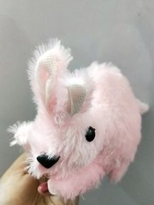 Rabbit Soft Toy