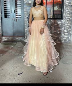 Bollywood Style Crop Top Choli