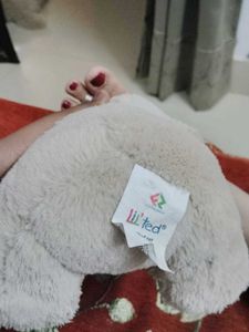 Cute Teddy Bear