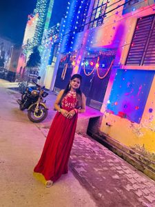 Pink Embroidered Gown