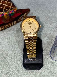 Mens Maxima Gold Watch