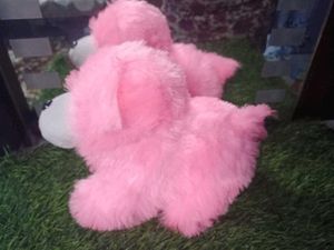 Tommy Soft Toys 🐕🤗