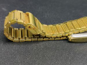 Titan Watch For Men 1072 YAB Gold Colour