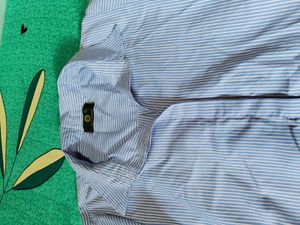Striped Button-Down Shirt