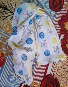 Scarf for College