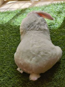New rabbit Soft Toy With Tag- Best Gift