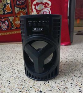 Woos Speaker