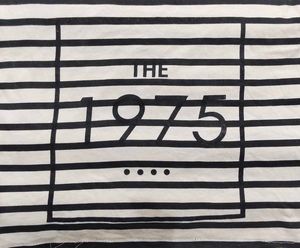 &#34;The 1975&#34; Striped Crop Top