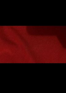 CHERRY RED CROP TOP🍒