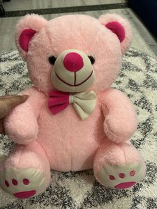 Pink Teddy Bear