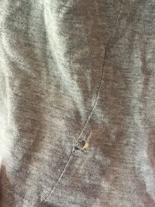 Pure Cotton Top