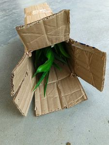 Ready For Shipping