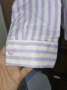 ZARA Essentials Purple,White Striped Cotton Shirt