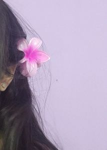 Beautiful flower hair clip🌸🎀🩰🎟💋