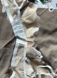 Demi lace Floral applique plunge Bra