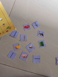 Animal Feeding Habits Puzzle