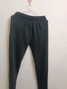 Daily Wear Casual Lower