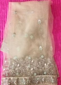 Elegant Lehenga Choli Set