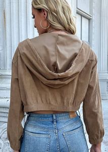 ZARA Women Hooded Crop Tailored Jacket