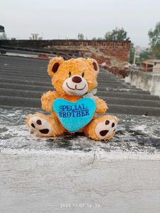 Teddy Bear - Special Brother