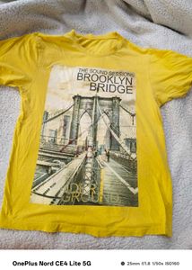 Combo Of 3 Cotton T Shirts