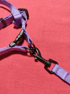Small Dog Harness