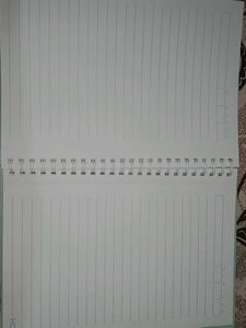 HQ Blue Colour One Liner Diary