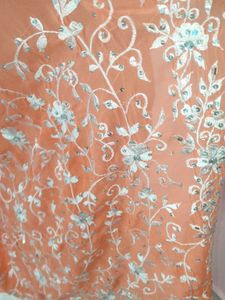 Peach Embroidered Fancy Saree With Stitched Blouse