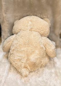 Soft Furrry Off White 🧸 Bear