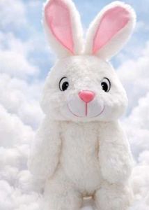Cute Plush Bunny