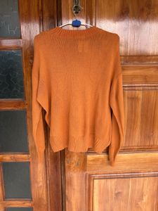New Mustard Closed Sweater