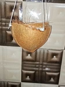 Bird nest selling grab items