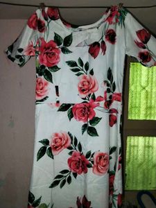 Floral Print Casual Dress