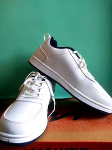 White Campus Sneakers