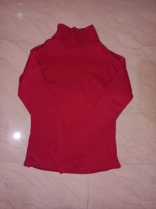 Turtle Neck Top