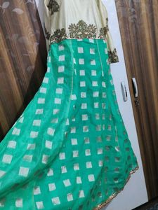 Elegant Ethnic Gown