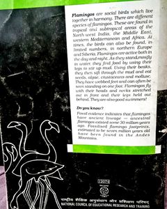 Class 12th (XII) ENGLISH TEXTBOOK (NCERT) Flamingo