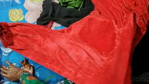 shehneel orange kurta set