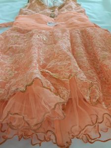 Orange Color Frock ( Girls )