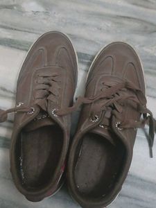 Brown Casual Sneakers