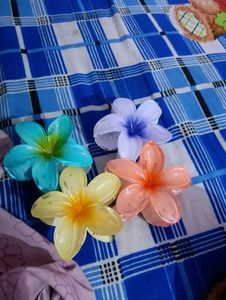 Flower Hair Clips - Set of 4