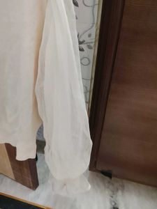 Elegant Sheer Sleeve Top